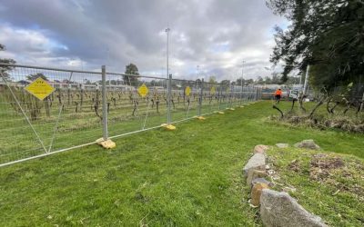 How to Install and Maintain Temporary Fencing: Expert Insights from Victorian Temporary Fencing (VTF)